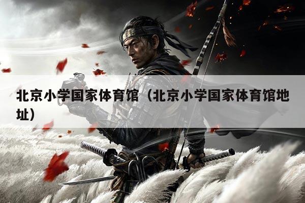 北京小学国家体育馆（北京小学国家体育馆地址）