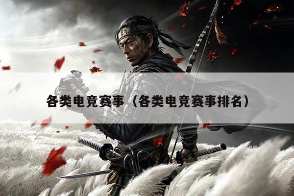 各类电竞赛事（各类电竞赛事排名）