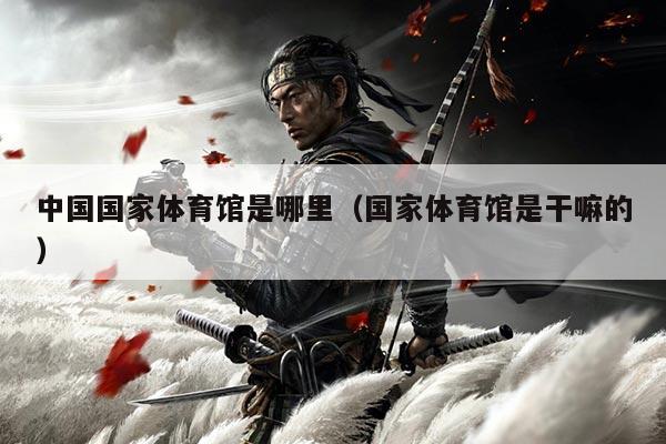 中国国家体育馆是哪里（国家体育馆是干嘛的）