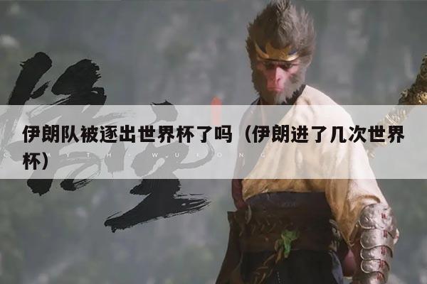 伊朗队被逐出世界杯了吗（伊朗进了几次世界杯）