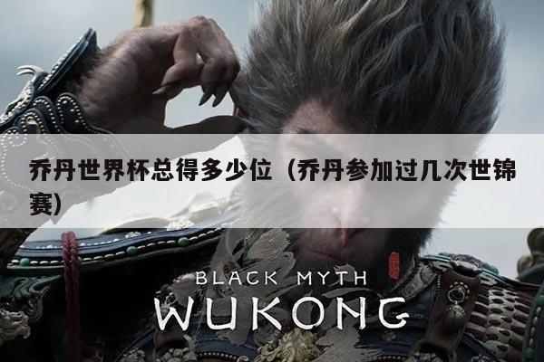 乔丹世界杯总得多少位（乔丹参加过几次世锦赛）