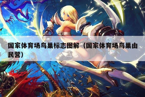 国家体育场鸟巢标志图解（国家体育场鸟巢由民营）