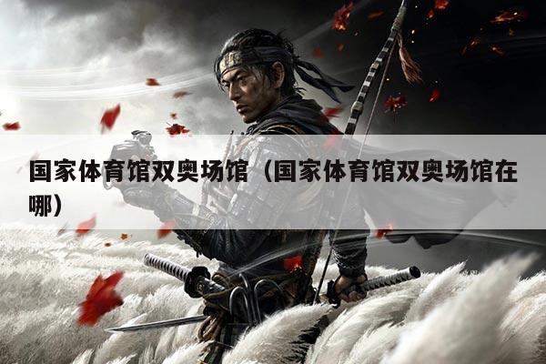 国家体育馆双奥场馆（国家体育馆双奥场馆在哪）